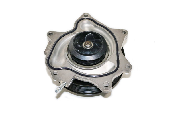 Water Pump with Gasket : Suncoast 